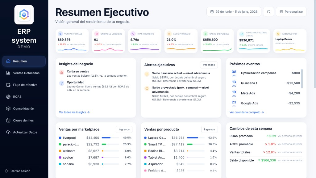 Demo ERP executive summary dashboard using demo data